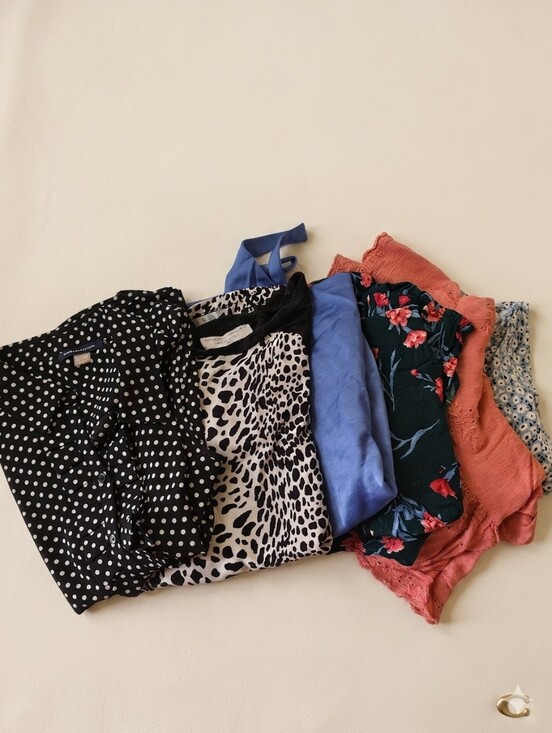 Hollister Tops - Women's Tops Zara, AE, Hollister, Tommy- Polka Dot, Animal Print, Floral